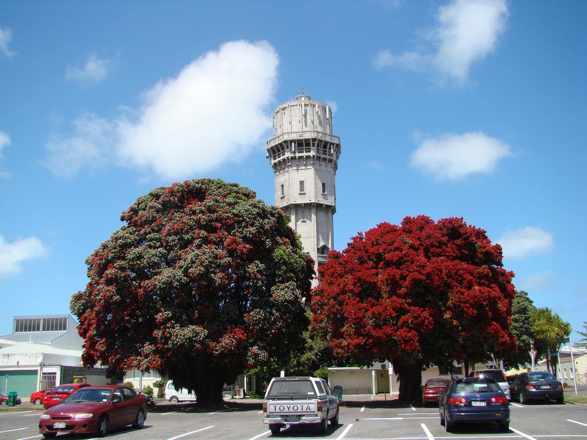 Kiwi Court Motel Hawera Luaran gambar